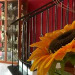 El Nur Bed and Breakfast Σαν Βίτο λο Κάπο