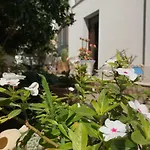 Bed and Breakfast El Nur 3*