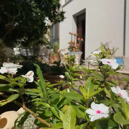 Bed & Breakfast El Nur 2*