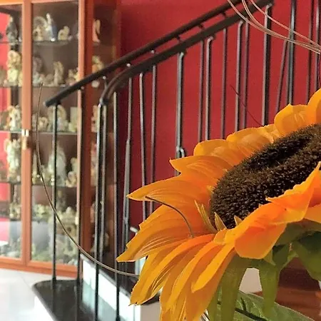 Bed & Breakfast El Nur 4*