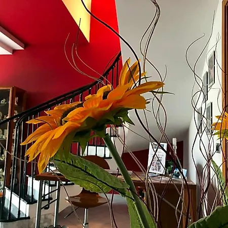 El Nur Bed & Breakfast 4*