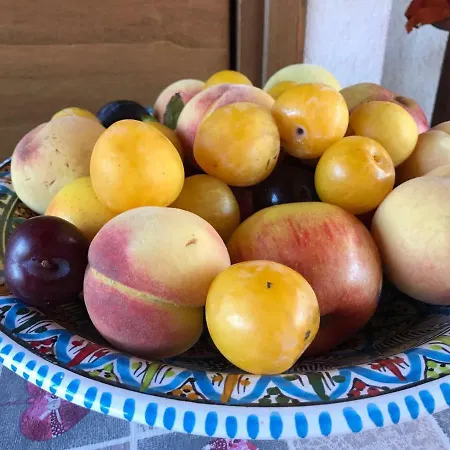 El Nur Bed & Breakfast 3*